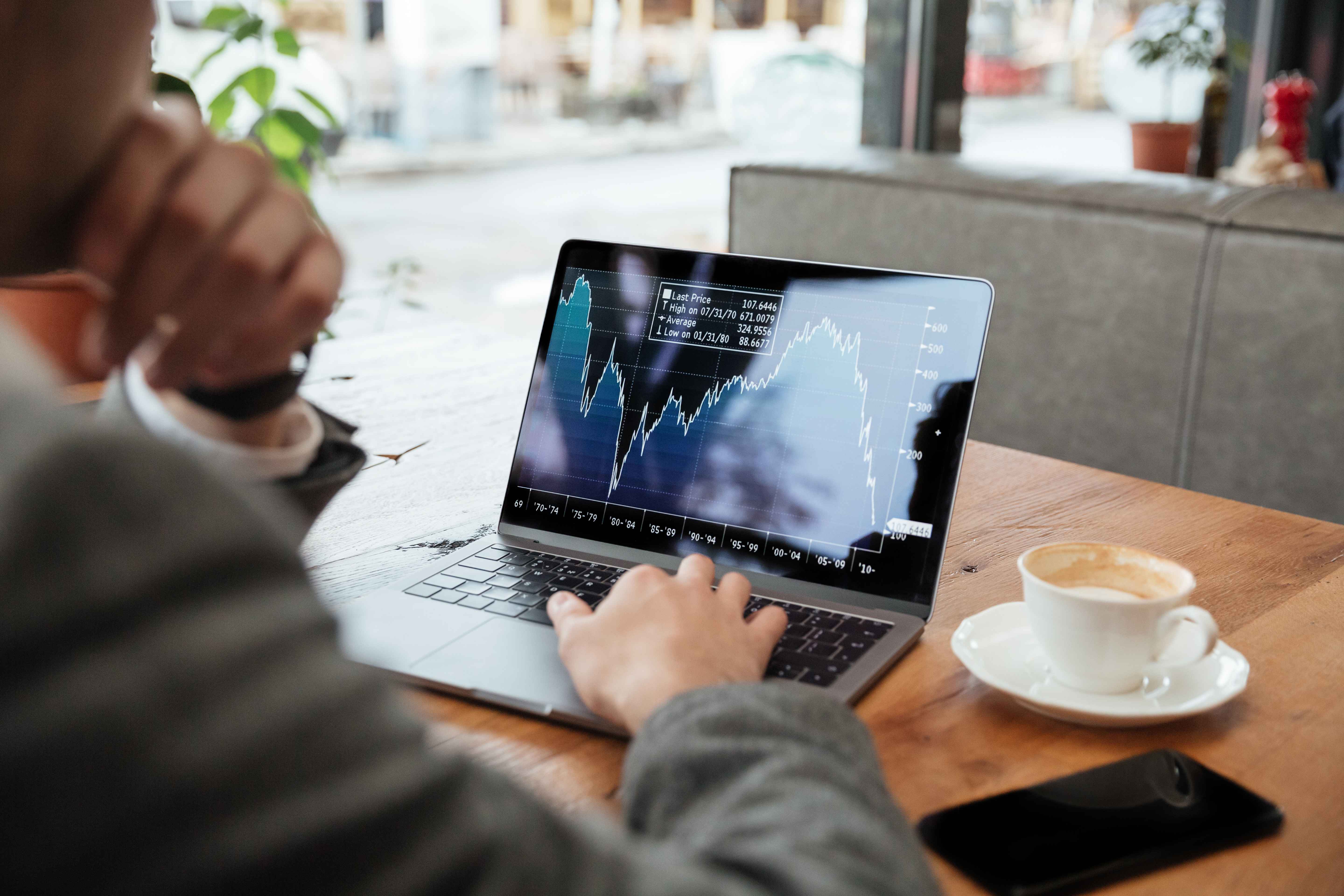 Professional analyzing financial data on laptop