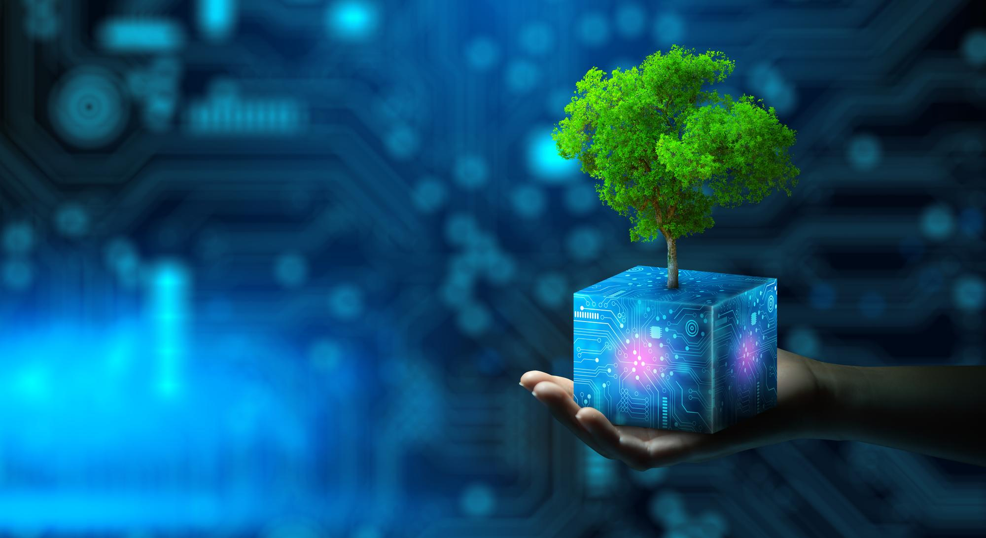 Mano sosteniendo un cubo digital con un árbol